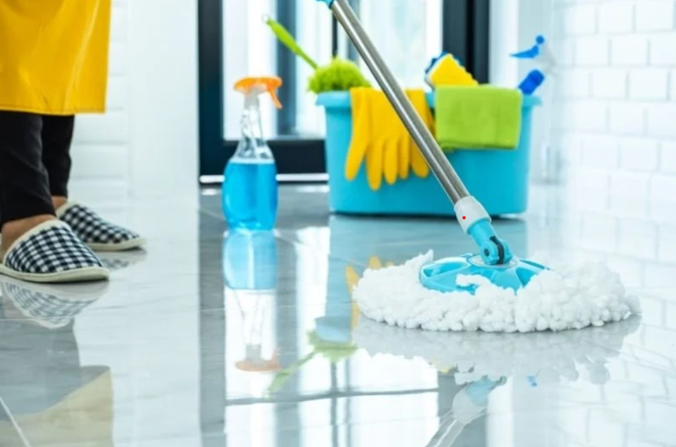 Ev Temizliği